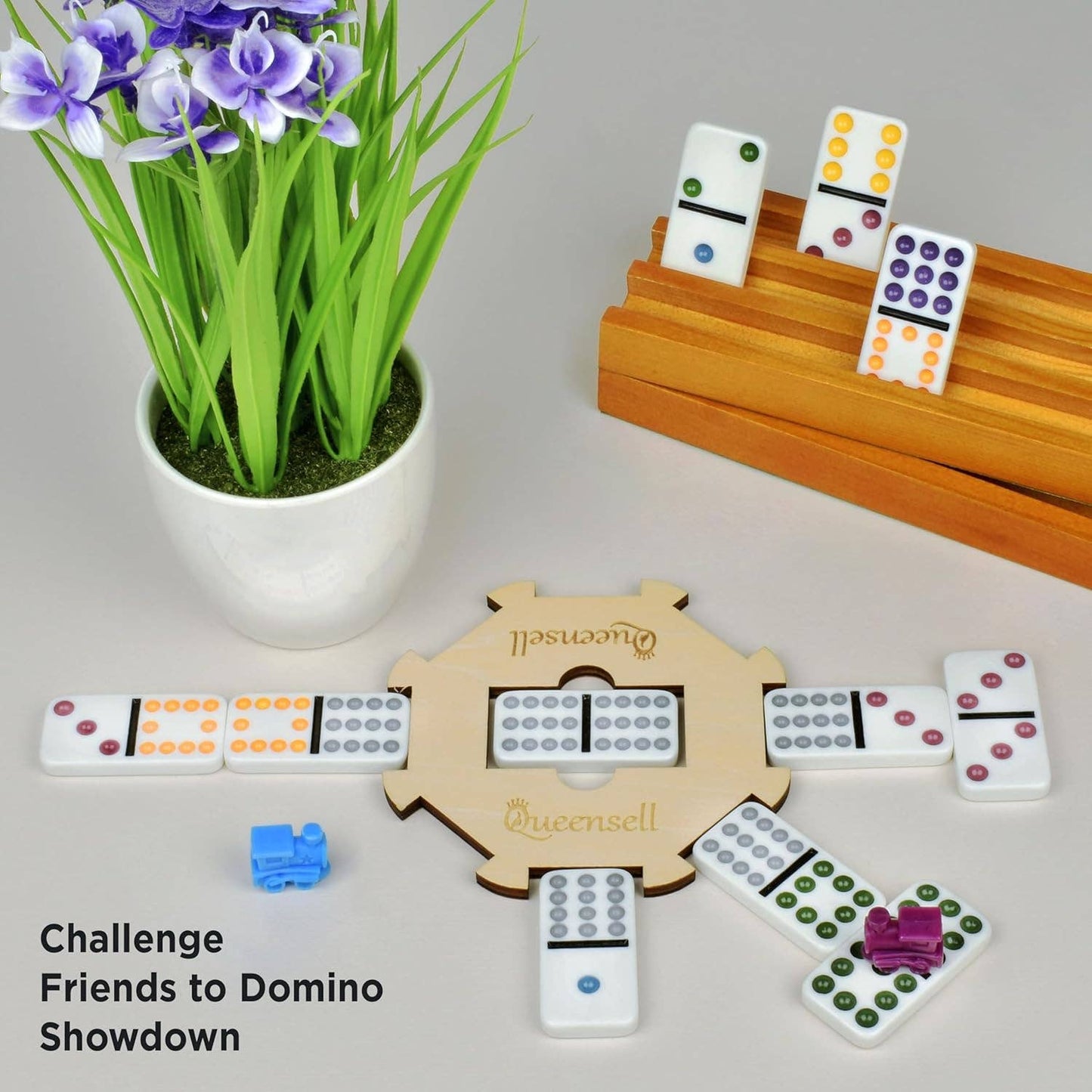 VIVA La Mexico! Train Domino Game