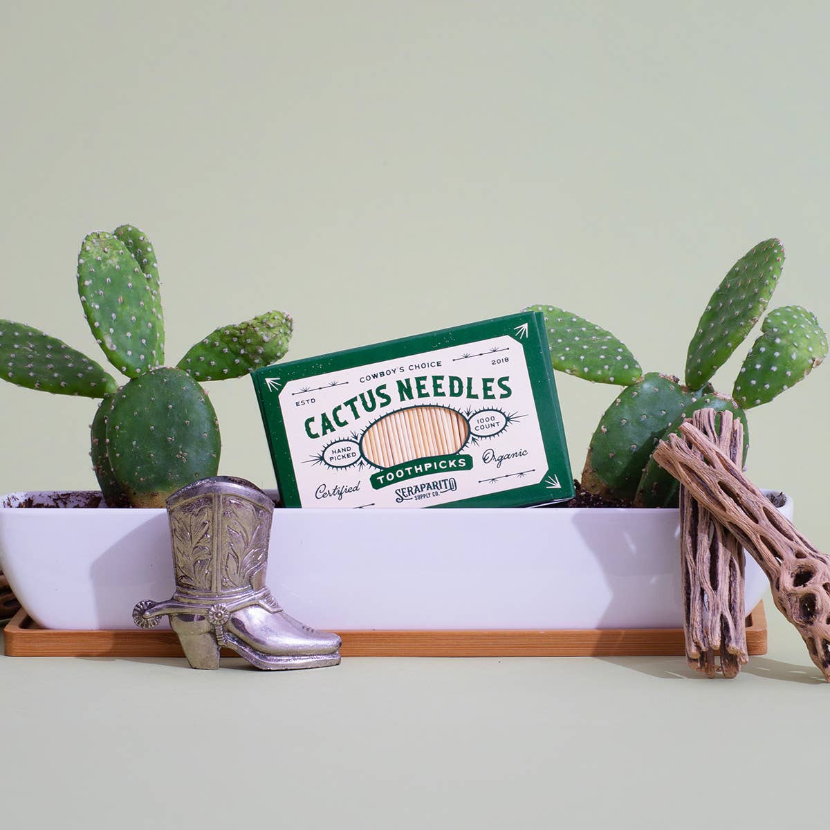Cactus Needle Toothpicks Case (24 Pack)