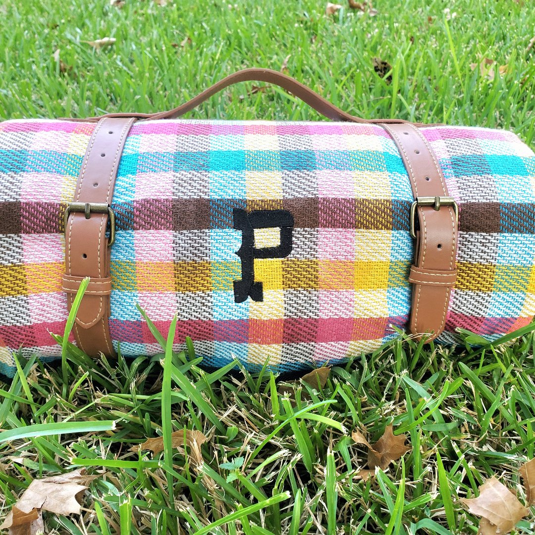 Austin Waterproof Picnic Blanket with handle: Multicolored