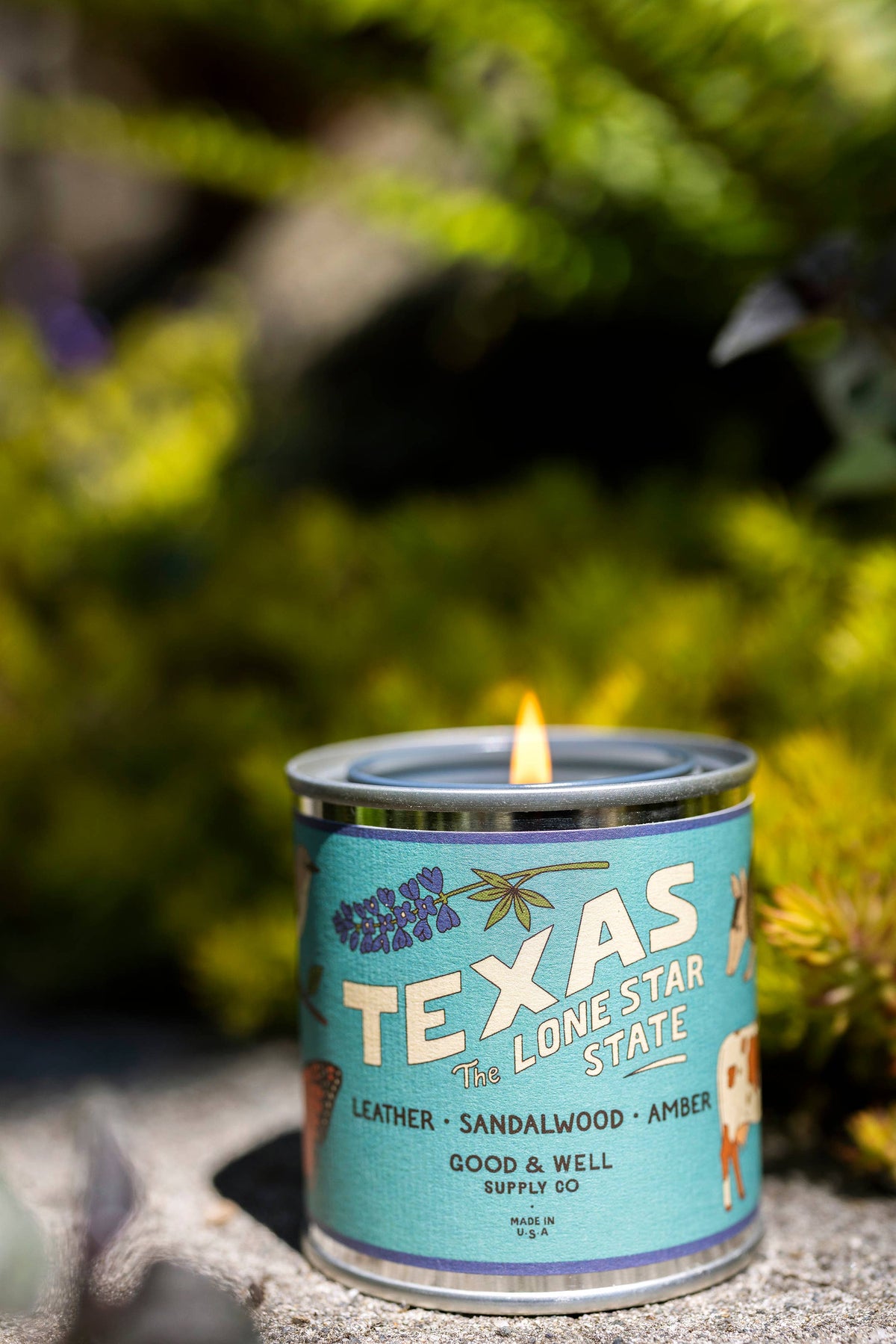 Texas State Soy Candle: 1/2 pint