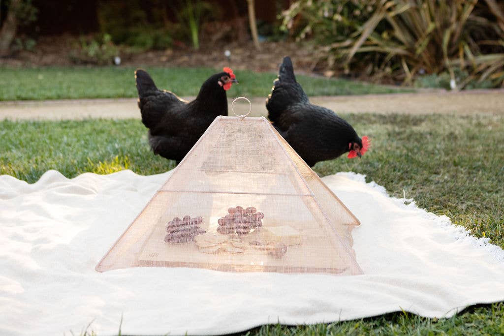 High Cotton Collapsible Woven Food Tent Cover: Cream