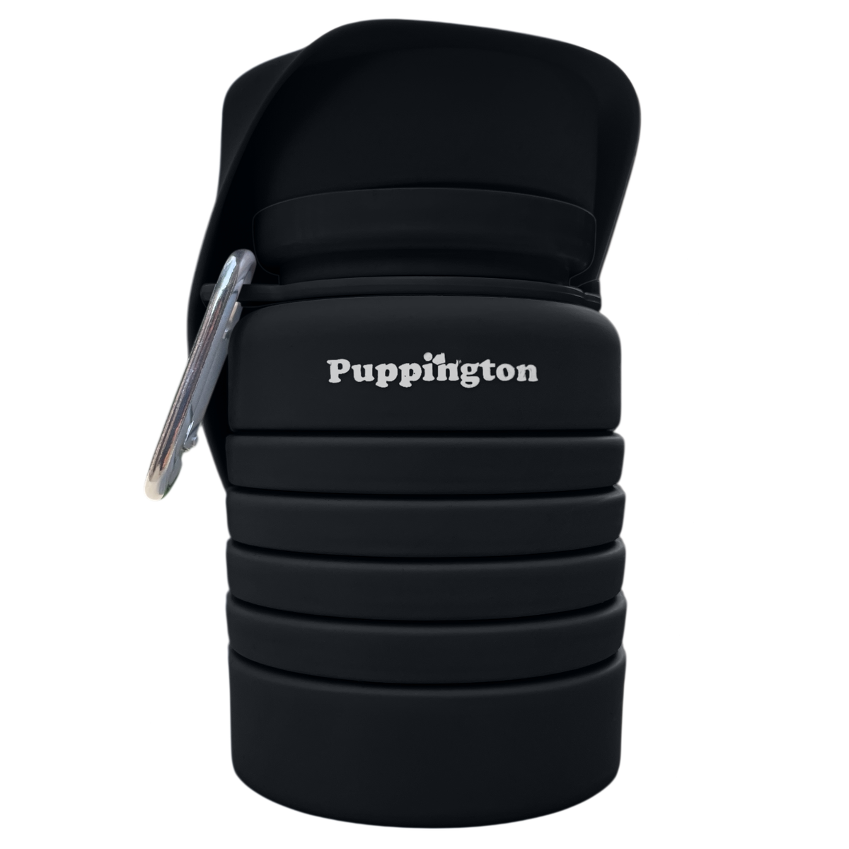 Barking Springs Water Bottle for Dogs - Leakproof, Compact, BPA free: Onyx Black