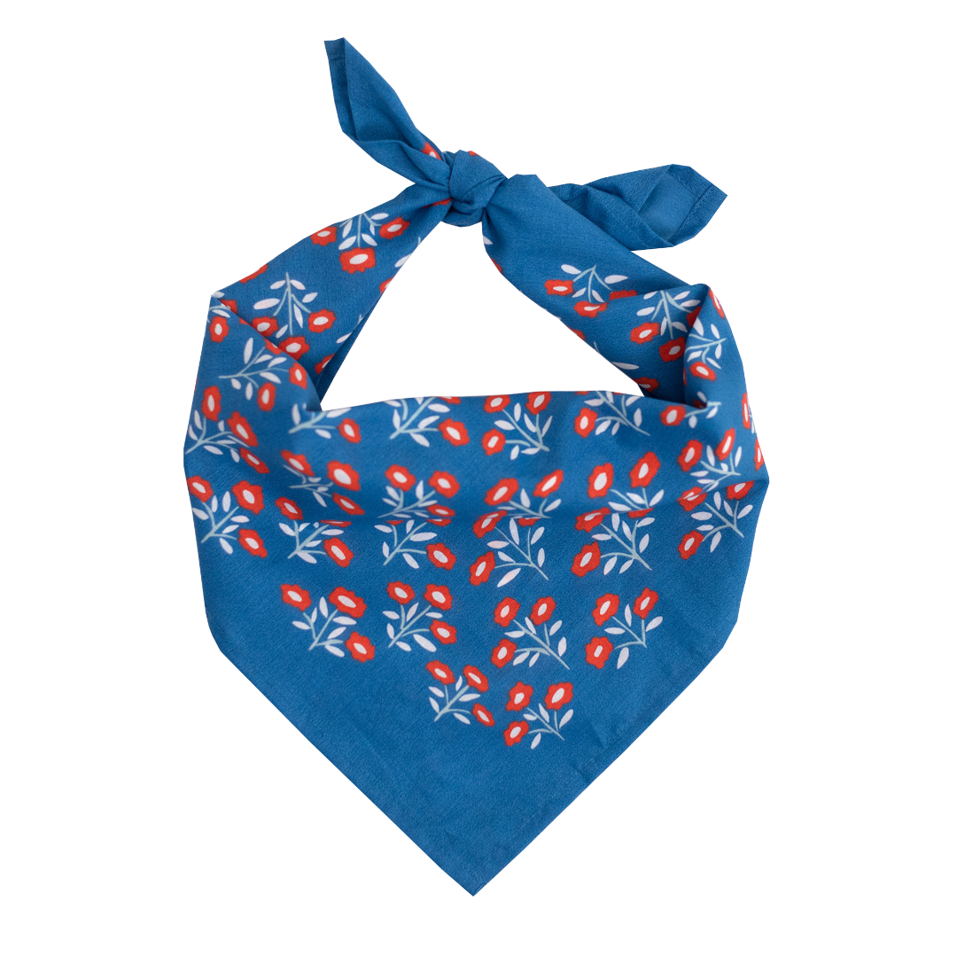 Ann Royal Blue Cotton Bandana