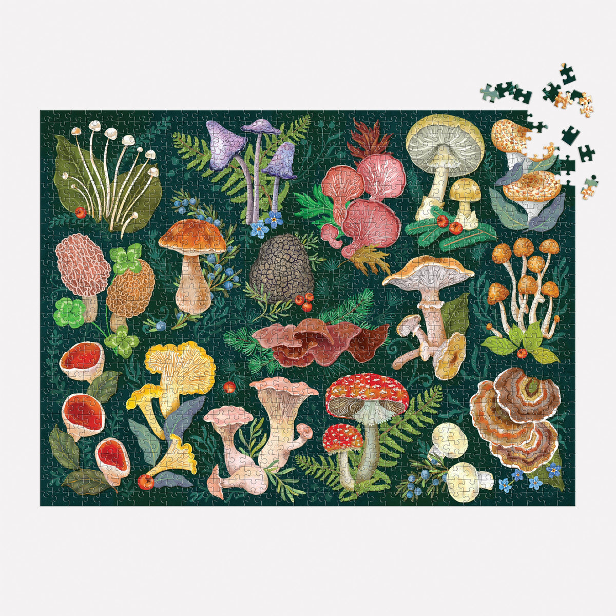 Forgager Feast: World of Mushrooms 1000 Piece Puzzle