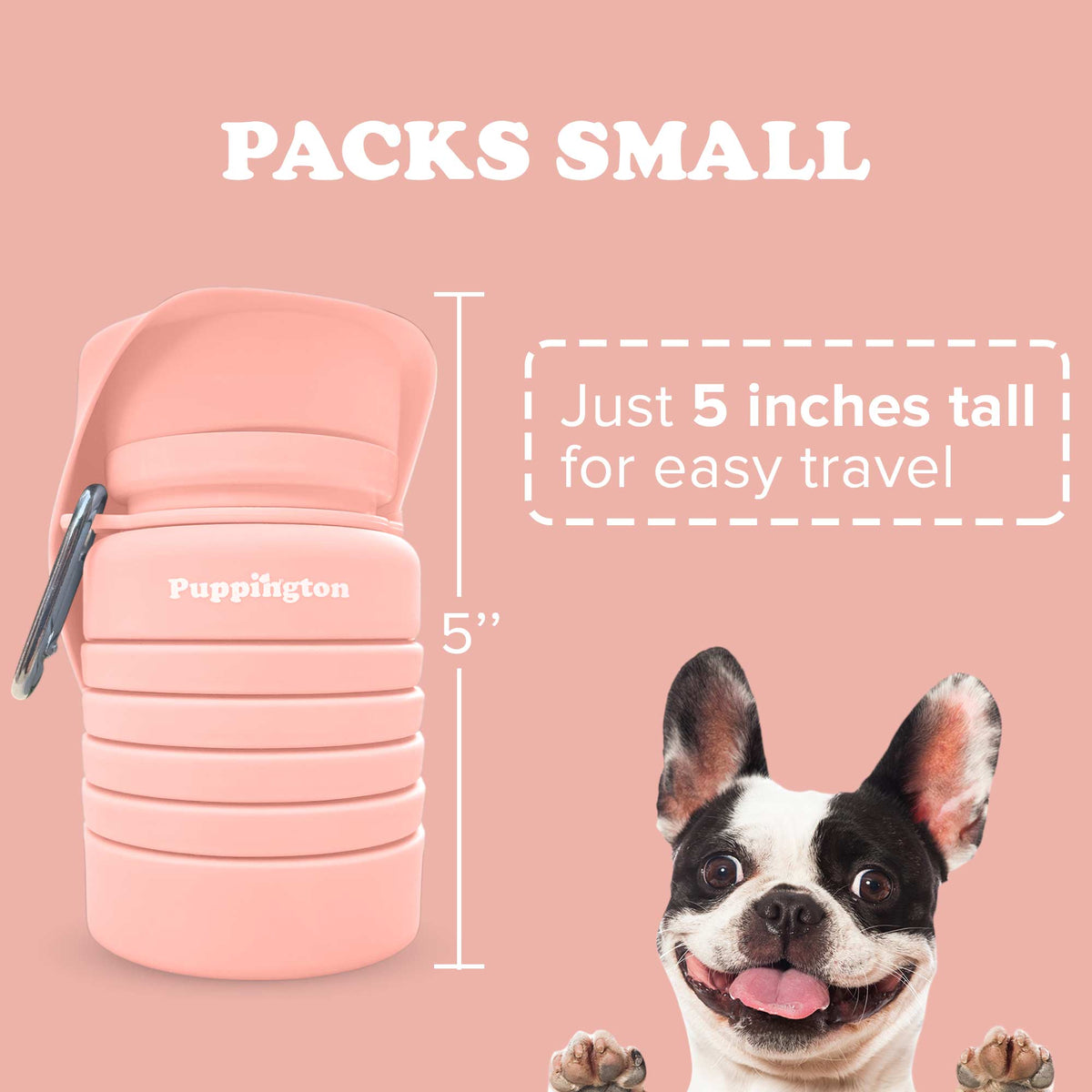Barking Springs Water Bottle for Dogs - Leakproof, Compact, BPA free: Onyx Black