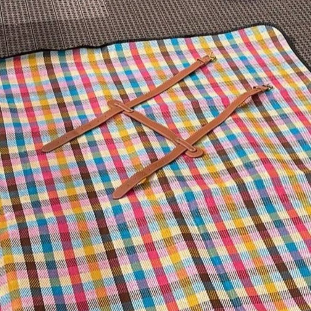 Austin Waterproof Picnic Blanket with handle: Multicolored