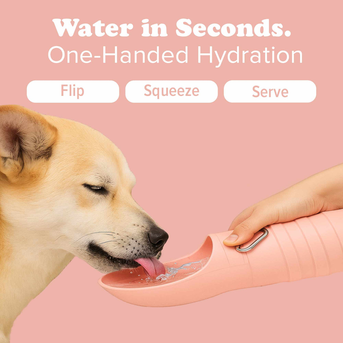 Barking Springs Water Bottle for Dogs - Leakproof, Compact, BPA free: Onyx Black